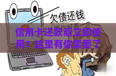 信用卡还款后立即使用？这里有你需要了解的全貌！