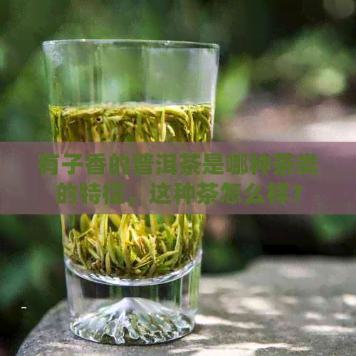 有子香的普洱茶是哪种茶类的特征，这种茶怎么样？