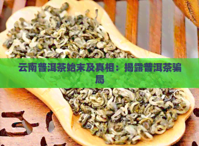 云南普洱茶始末及真相：揭露普洱茶骗局