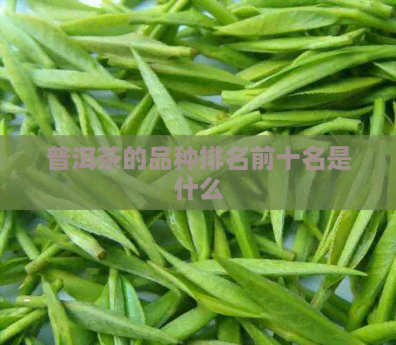 普洱茶的品种排名前十名是什么