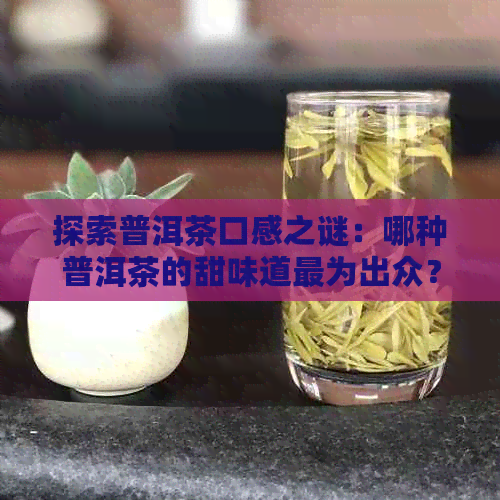 探索普洱茶口感之谜：哪种普洱茶的甜味道最为出众？