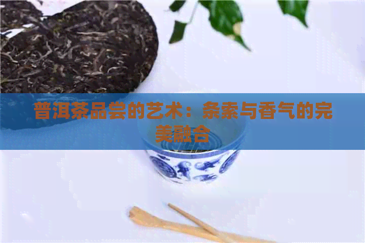 普洱茶品尝的艺术：条索与香气的完美融合