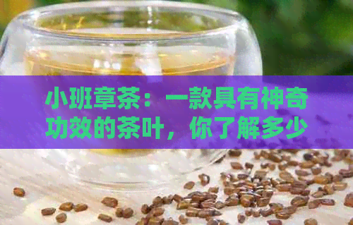 小班章茶：一款具有神奇功效的茶叶，你了解多少？