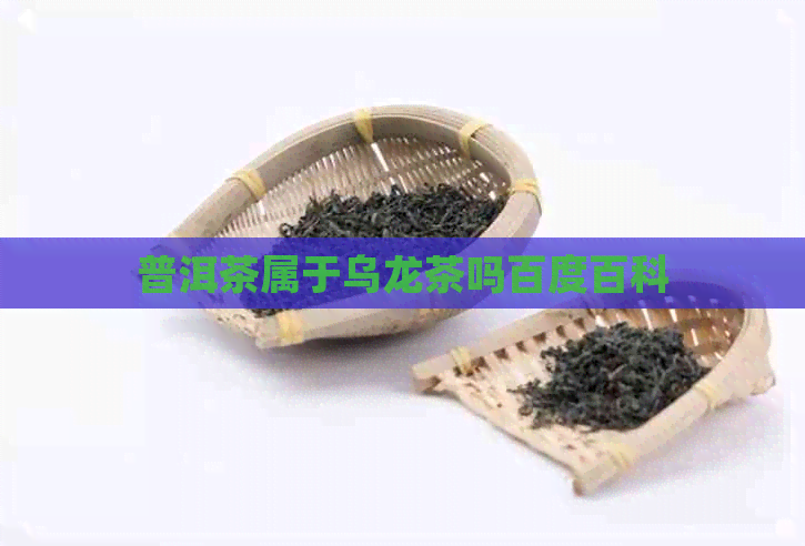 普洱茶属于乌龙茶吗百度百科