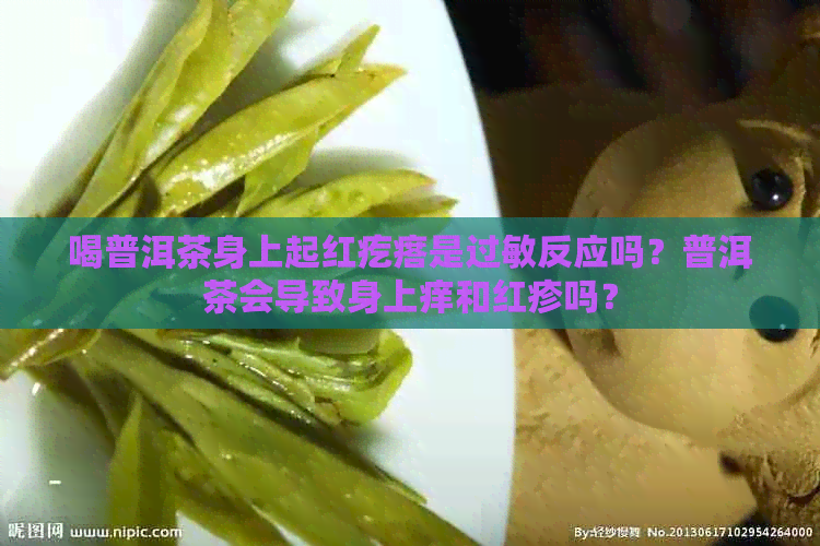 喝普洱茶身上起红疙瘩是过敏反应吗？普洱茶会导致身上痒和红疹吗？