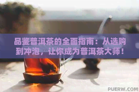 品鉴普洱茶的全面指南：从选购到冲泡，让你成为普洱茶大师！