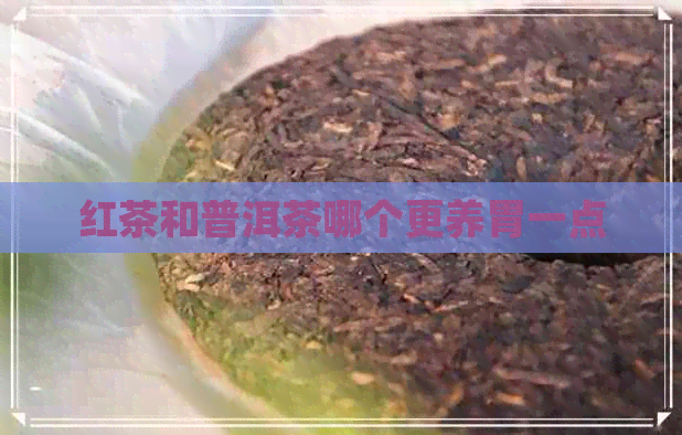 红茶和普洱茶哪个更养胃一点