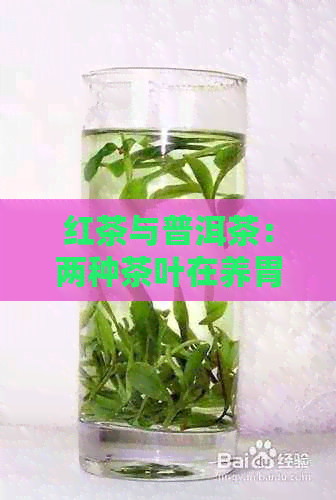 红茶与普洱茶：两种茶叶在养胃功效上的对比分析