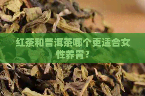 红茶和普洱茶哪个更适合女性养胃？