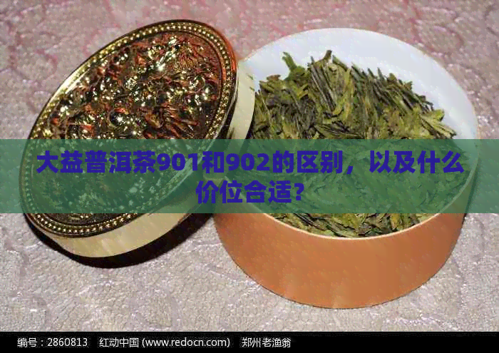 大益普洱茶901和902的区别，以及什么价位合适？