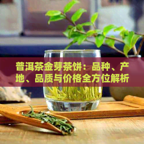 普洱茶金芽茶饼：品种、产地、品质与价格全方位解析，助你挑选最适合的茶饼