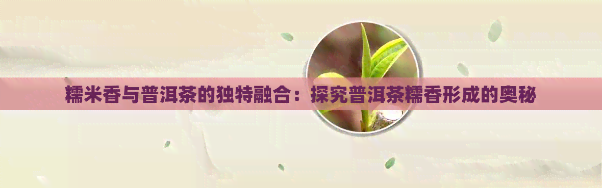 糯米香与普洱茶的独特融合：探究普洱茶糯香形成的奥秘