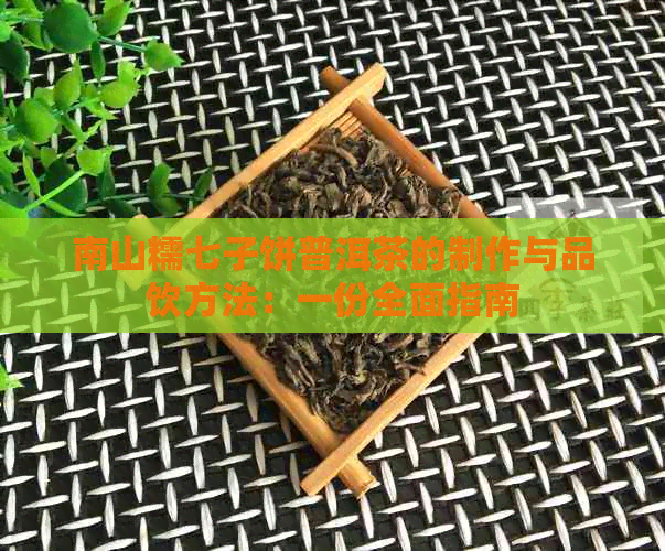 南山糯七子饼普洱茶的制作与品饮方法：一份全面指南