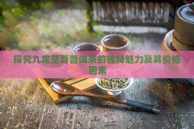 探究九龙至尊普洱茶的独特魅力及其价格因素