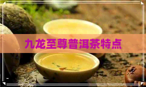 九龙至尊普洱茶特点