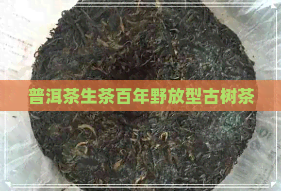 普洱茶生茶百年野放型古树茶