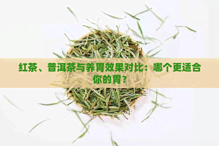 红茶、普洱茶与养胃效果对比：哪个更适合你的胃？