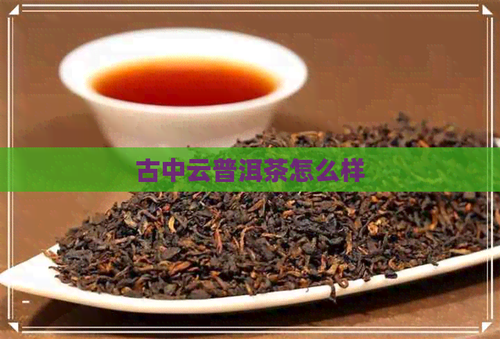 古中云普洱茶怎么样