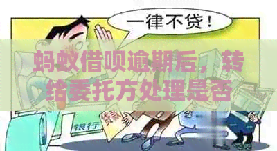 蚂蚁借呗逾期后，转给委托方处理是否合法？