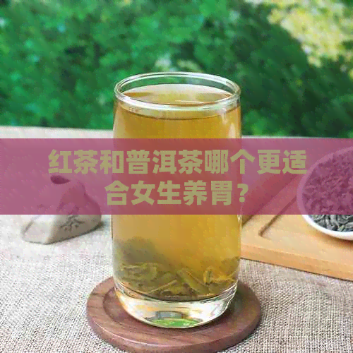 红茶和普洱茶哪个更适合女生养胃？