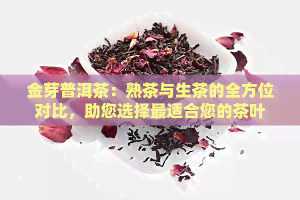 金芽普洱茶：熟茶与生茶的全方位对比，助您选择最适合您的茶叶