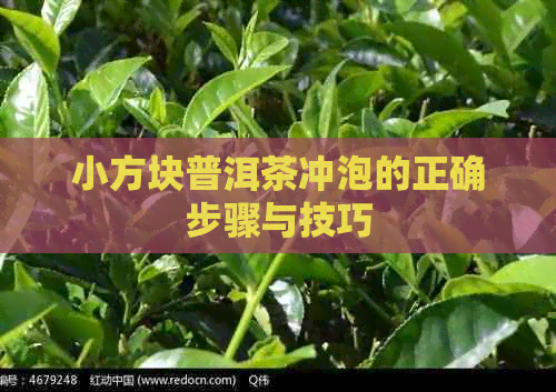 小方块普洱茶冲泡的正确步骤与技巧