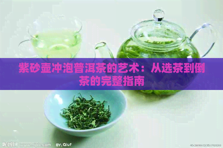 紫砂壶冲泡普洱茶的艺术：从选茶到倒茶的完整指南