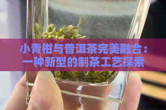 小青柑与普洱茶完美融合：一种新型的制茶工艺探索