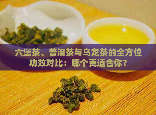 六堡茶、普洱茶与乌龙茶的全方位功效对比：哪个更适合你？