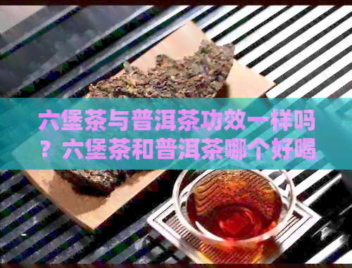 六堡茶与普洱茶功效一样吗？六堡茶和普洱茶哪个好喝？