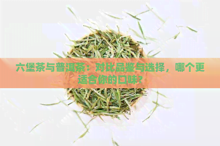 六堡茶与普洱茶：对比品鉴与选择，哪个更适合你的口味？