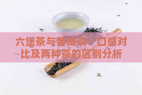 六堡茶与普洱茶：口感对比及两种茶的区别分析