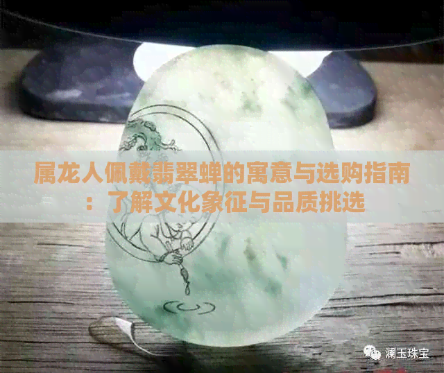 属龙人佩戴翡翠蝉的寓意与选购指南：了解文化象征与品质挑选