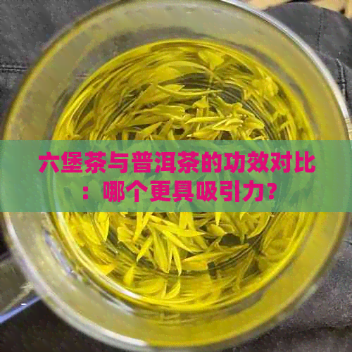 六堡茶与普洱茶的功效对比：哪个更具吸引力？