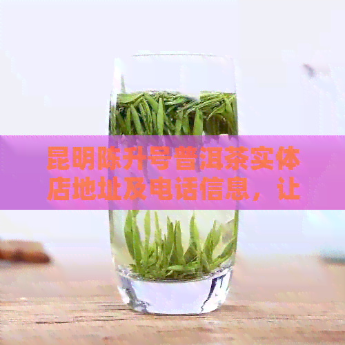 昆明陈升号普洱茶实体店地址及电话信息，让您轻松找到最适合的茶！