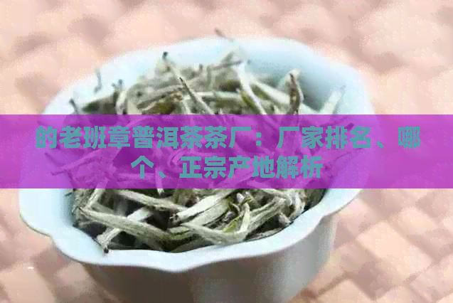 的老班章普洱茶茶厂：厂家排名、哪个、正宗产地解析