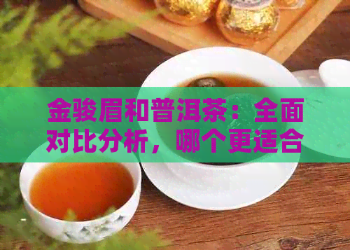 金骏眉和普洱茶：全面对比分析，哪个更适合你的口味？