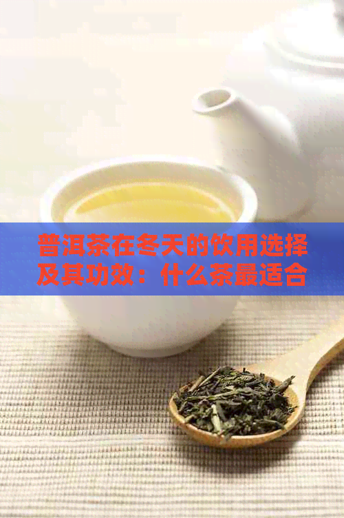 普洱茶在冬天的饮用选择及其功效：什么茶最适合冬日饮用？