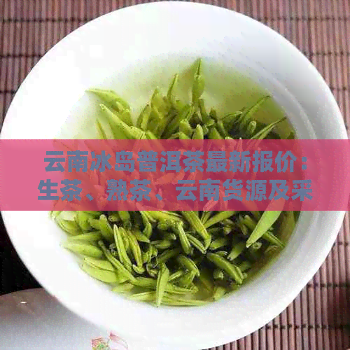 云南冰岛普洱茶最新报价：生茶、熟茶、云南货源及采购批发信息