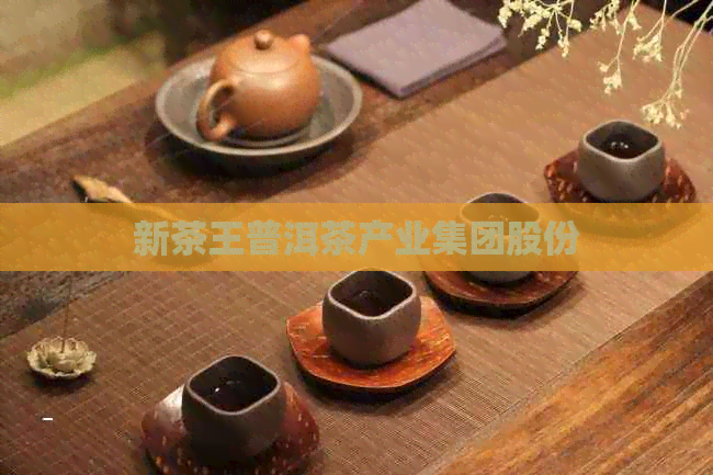 新茶王普洱茶产业集团股份