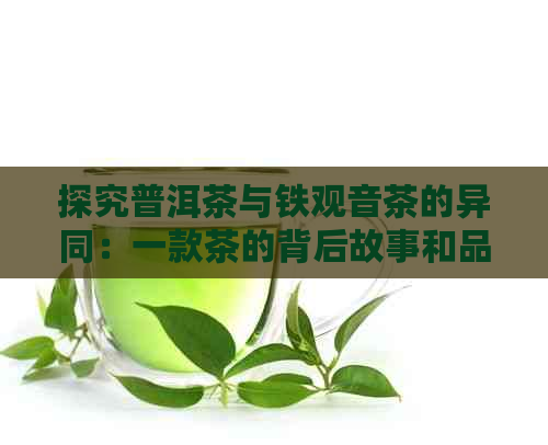 探究普洱茶与铁观音茶的异同：一款茶的背后故事和品鉴技巧