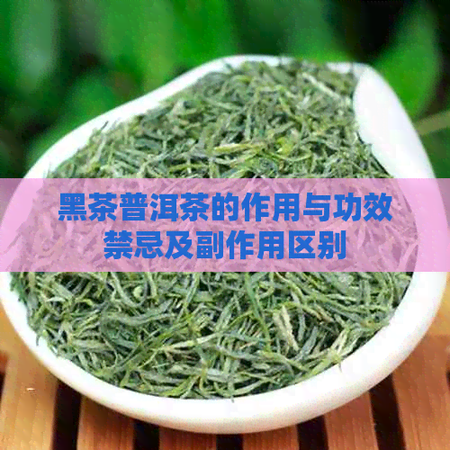 黑茶普洱茶的作用与功效禁忌及副作用区别