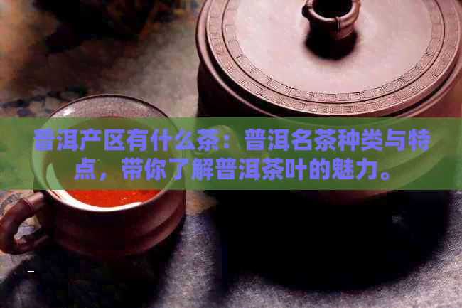 普洱产区有什么茶：普洱名茶种类与特点，带你了解普洱茶叶的魅力。