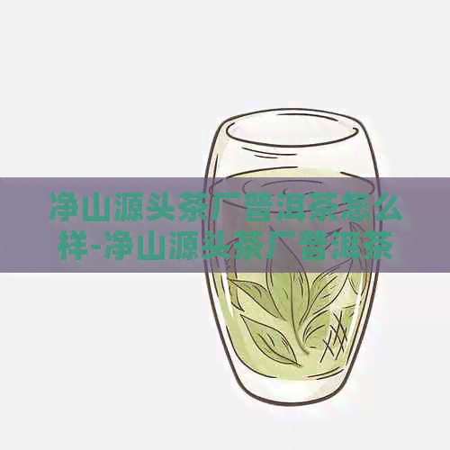 净山源头茶厂普洱茶怎么样-净山源头茶厂普洱茶怎么样啊