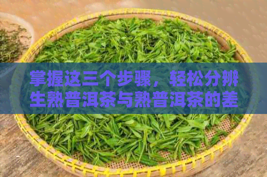 掌握这三个步骤，轻松分辨生熟普洱茶与熟普洱茶的差异