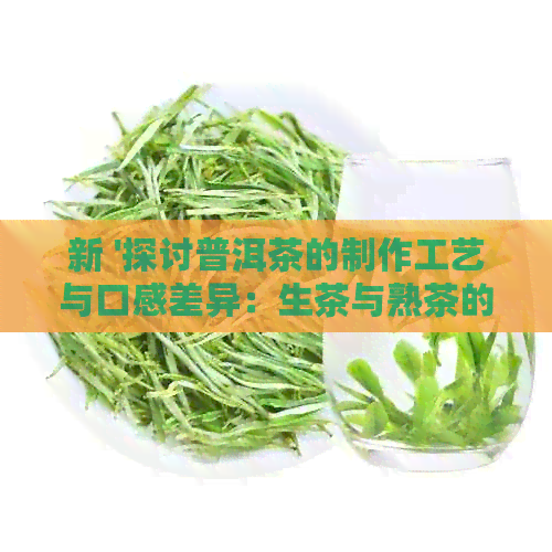 新 '探讨普洱茶的制作工艺与口感差异：生茶与熟茶的区别与品饮方法'