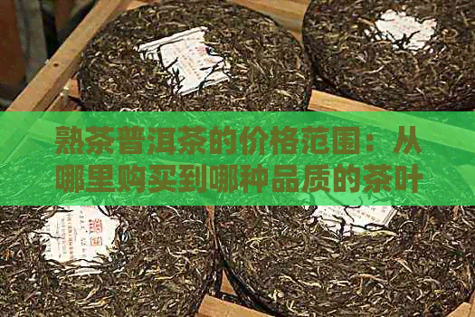 熟茶普洱茶的价格范围：从哪里购买到哪种品质的茶叶？