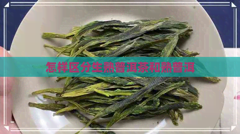 怎样区分生熟普洱茶和熟普洱