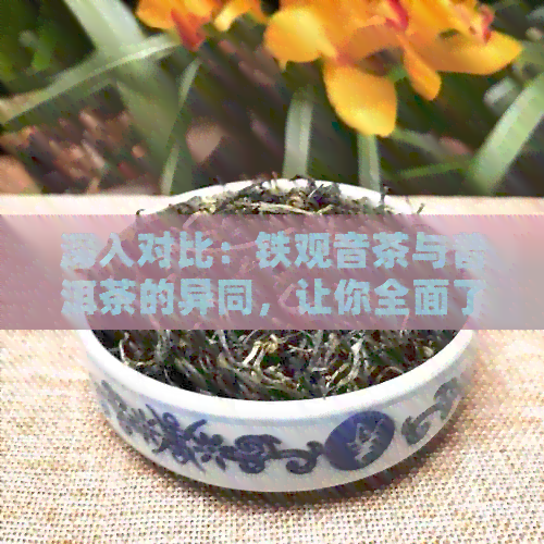 深入对比：铁观音茶与普洱茶的异同，让你全面了解两种茶叶的特点