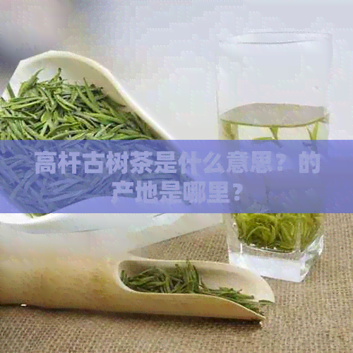 高杆古树茶是什么意思？的产地是哪里？